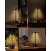 Trongle Wireless Table Lamp with Touch Control, Touch Table Lamp