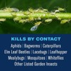 BioAdvanced Tree and Shrub Insect Killer, Ready-to-Use, 32Oz
