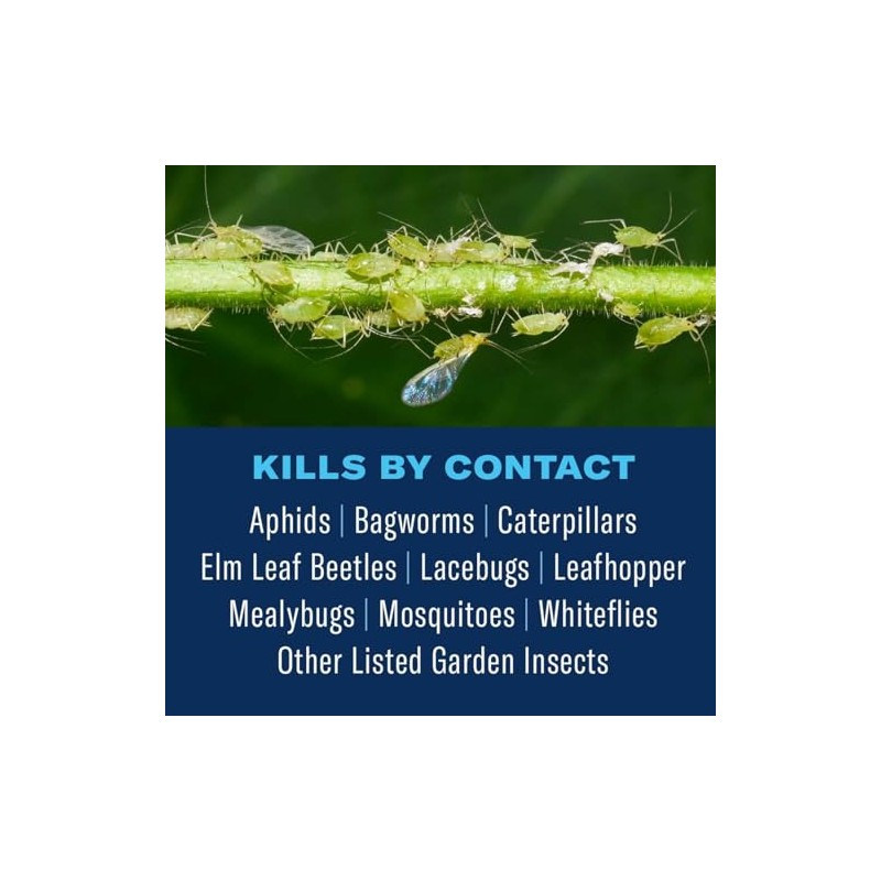 BioAdvanced Tree and Shrub Insect Killer, Ready-to-Use, 32Oz