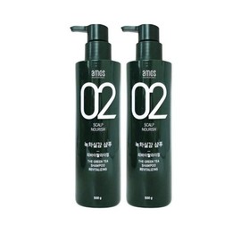 Amos Green Tea Real Feel Shampoo 500g x 2 Packs Scalp & Hair Care / 아모스 녹차실감 샴푸 500g x2개 두피 모발 케어