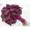 2000+PCS RED SPINACH/ RED AMARANTH SEEDS/ RAU DỀN ĐỎ |