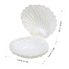 Gadpiparty 10pcs Seashell Candy Boxes - Mini Plastic Shell Storage