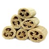 Natural Loofahs by Spa Destinations Six (6) Pack of 4