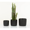 Scheurich Solido Linea, Set of 2 Ceramic Flower Pots, Colour: