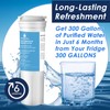 836848 Refrigerator Water Filter for Fisher&Paykel 836860,862285,862284,E402,E442B,E522B,RO185014,RO185011 Fridge Water Filter(3
