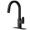Black Square Kitchen Faucet – Modern Pull-Down Sprayer with 2-Mode
