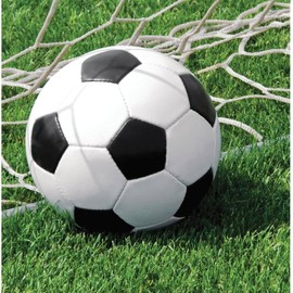 Creative Converting Soccer Luncheon Napkins, 3-Ply, 18/Pkg (667966)