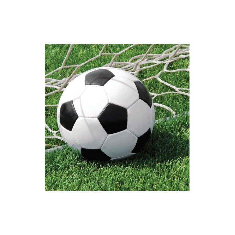 Creative Converting Soccer Luncheon Napkins, 3-Ply, 18/Pkg (667966)