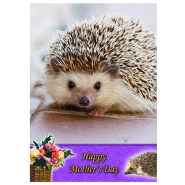 Hedgehog Animal Mothers Day Card