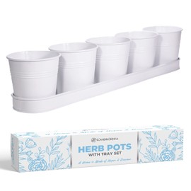 SCANDINORDICA White Herb Planter – 5 Pots with Drainage Holes and Tray, Windowsill Planter, Indoor Planter Outdoor Herb Pots for Indoor Plants
