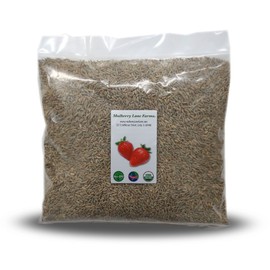 Rye Berries, 5 Pounds USDA Certified Organic, Non-GMO Bulk, Product of USA, Mulberry Lane Farms