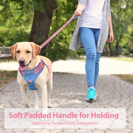 PHOEPET 5 Feet Dog Leash - Dual-Side Reflective - Soft Padded Handle - Fit for Walking, Training or Exploring Hiking, Camping (Baby Pink + Blue Base)