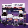 Gomitas Sambucol Sauco Negro Zinc Vitamina C 30 Uds