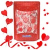 Fruidles Valentine's Red Heart Shaped Hard Candy Lollipop Suckers, Individually