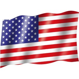 USA United States of America Country Flag Country Flag Hoist Flag With Flag 150 x 90 EYELET CURTAINS, Very Good Quality