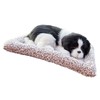 Actived Carbon Dog Plush Toy Odor Removal Air Purification Sleeping