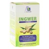 Avitale Ginger 500 mg + Vitamin B1 + C Capsules