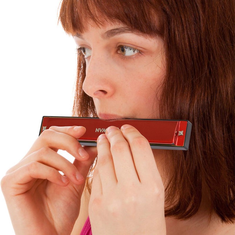 Harmonica Professional C Major Blues Harmonica Diatonic 24-Hole with Case