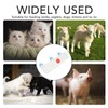 3 Head Small Animal Milk Feeder Piglet Baby Lamp Goat