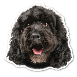 Magnet America (Black) Cockapoo Dog Magnet is 4.73" x 4.9" Made for Vehicles and Refrigerators