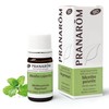 Pranarom Peppermint 5ml BIO (PRANAROM Chemo Type Essential Oil)