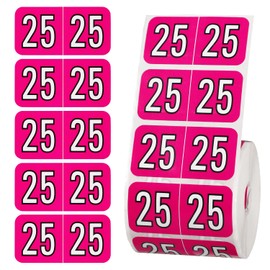 500pcs 2025 Stickers, File Folder Year Labels 2025 Year Stickers 3/4x1-1/2 Inch 25 Year Labels Colored Year Stickers Year Labels 2025 for Tab File Folders Office Supplies(Rose Red)