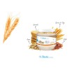 Fibra en Polvo Digestión Inulina Linaza Sabor Vainilla Vanilla Fiber