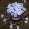 AWQ 100 LED 49 FT Globe Ball String Lights Crystal