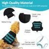 Bearded Dragon Lizards Clothes with Leash Set - Cute Lizard