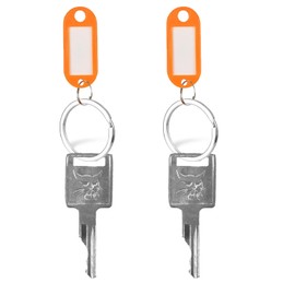 D250 Ignition Keys 6693241 6709527 A77313 307852A1 714602 Replacement for Bobcat Skid Steer Loader A220 A300 T110 T140 T180 T190 T200 T250 T300 T320 T450 T550 S100 S130 S150(2-Pack)