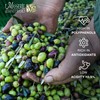 Delicate Italian Extra Virgin Olive Oil Cold Pressed - Light