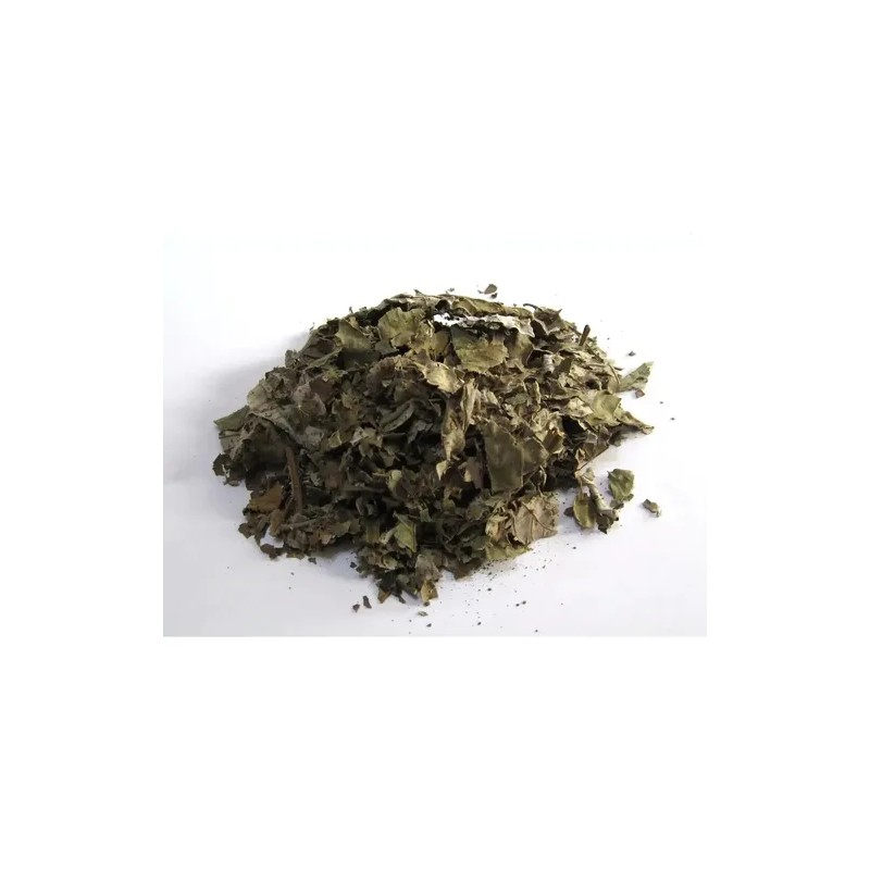 Cardo Mariano 500gr Para Preparar Té O Infusión