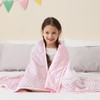 Mr. Sandman Weighted Blanket 3LBS 36 x 48 Inches, Minky