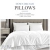 Down Dreams Manchester Mills Classic Pillows - King/Medium Support 2-Pack