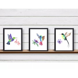Set of 3 Hummingbirds and Flowers Spring and Summer Unframed Wall Art Prints