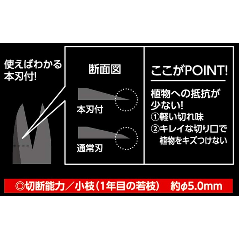 Takagi Stainless Steel Long Bud Cutting Shears with Main Blade,