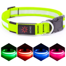 VIZPET Vizpet LED Dog Collar, Light Up Dog Collar Adjustable USB Rechargeable Super Bright Safety Light Glowing Collars for Dogs(Large,Green)