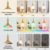Battery Operated Pendant Lights 2 Pack,Rechargeable Pendant Light with Remote,Gold
