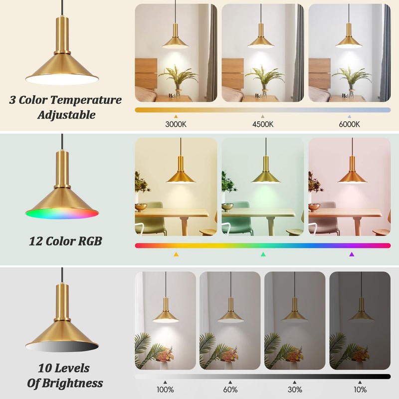 Battery Operated Pendant Lights 2 Pack,Rechargeable Pendant Light with Remote,Gold