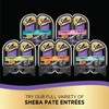 SHEBA PERFECT PORTIONS Paté Wet Cat Food Trays (24 Count,