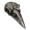 Edgar Poe Nevermore Gothic Raven Crow Skull Decorative Macabre Hand