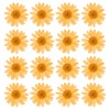 PATIKIL Pack of 48 Dried Pressed Flowers Natural Dried Daisy