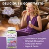 (2 Packs) Zeolite Gummies for Adults - Zeolite Clinoptilolite, Chlorella,