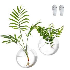 CHPINDAM Wall Hanging Planter Propagation Station, Oblate Glass Flower Vase for Propagation, Wall Planter for Indoor Plants, Modern Home Office Corridor Bathroom Decor (2)