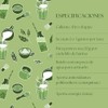 Matcha México Té Verde Matcha Orgánico en Polvo, Alto en