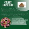 Suplemento Reductivo Redugrass Mesocaps 90 Cápsulas Sin Sabor