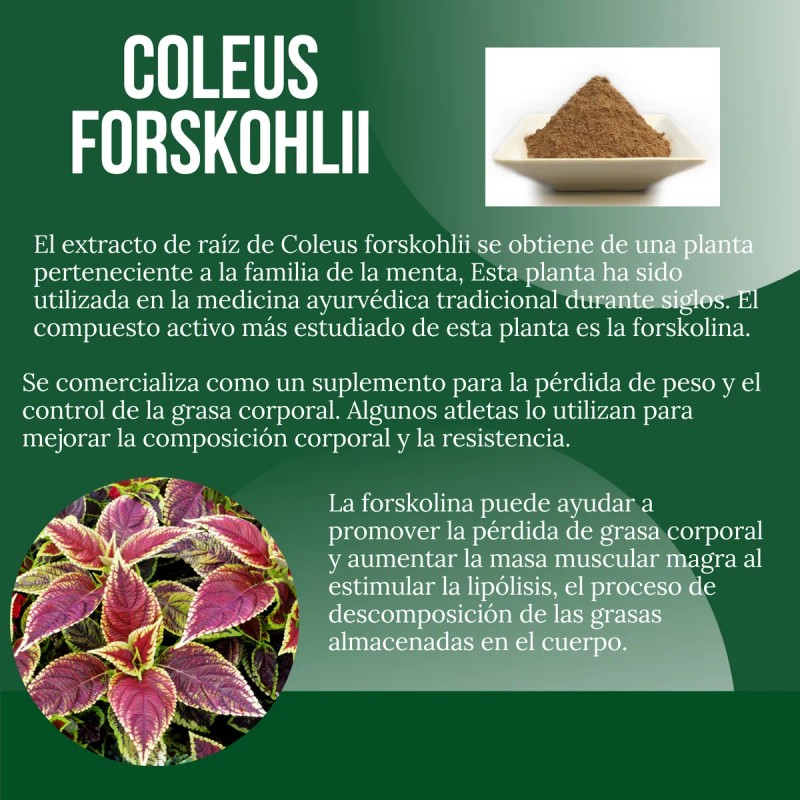 Suplemento Reductivo Redugrass Mesocaps 90 Cápsulas Sin Sabor