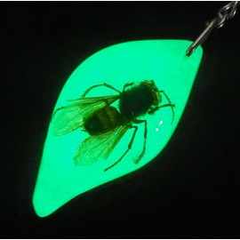 44mm Real Golden Crab in Amber Color Lucite Resin Keychain Aquatic Animal Taxidermy Sample Inside for Biology Science Education Decoration Tear Drop Key Ring Chain Pendant