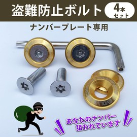 EVOLVERACING Anti-theft Bolt Set for License Plate Specific Vehicle Inspection (Gold Bolt Length 1.0 inches (25 mm)