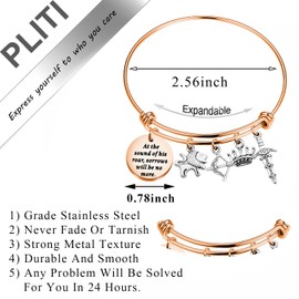 PLITI Narnia Quote Gift At The Sound Of His Roar Sorrows Will Be No More Literature Bracelet Literary Book Lover Gift (sound his roar bgrg)